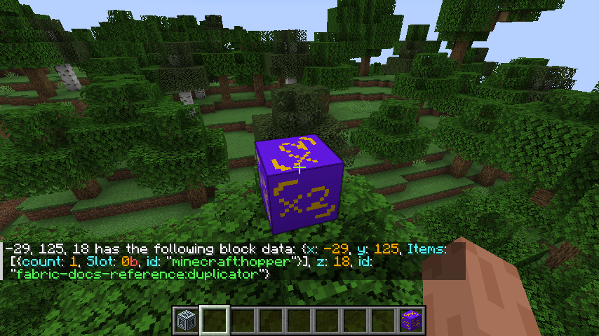 Duplicator block and output of  showing the item in the container